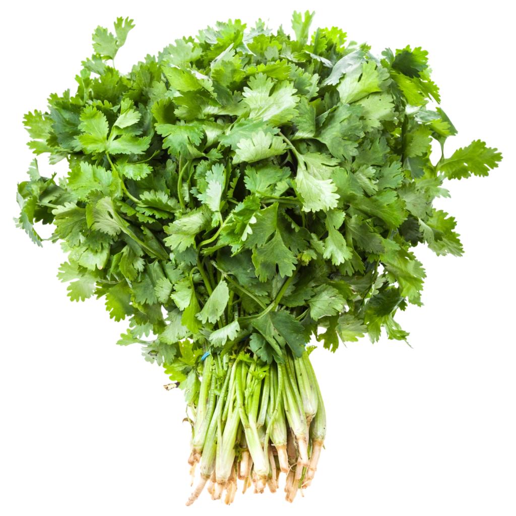 Coriander leaves (DHANIY)