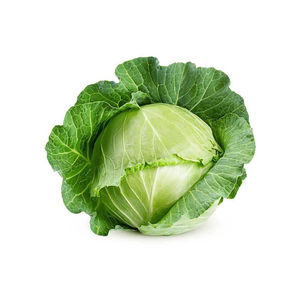 PattaGobi (Cabbage)