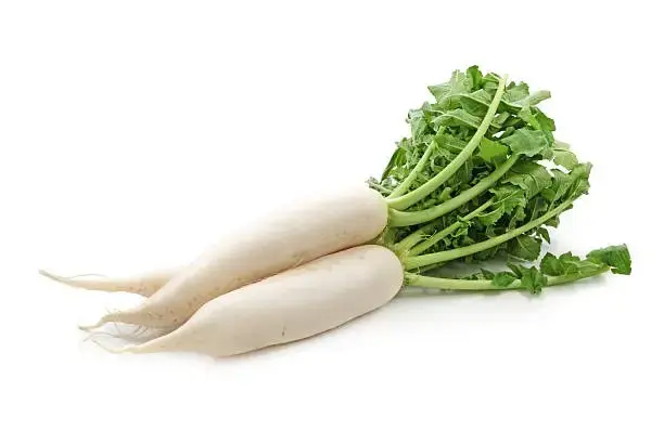 Rdish (मूली)