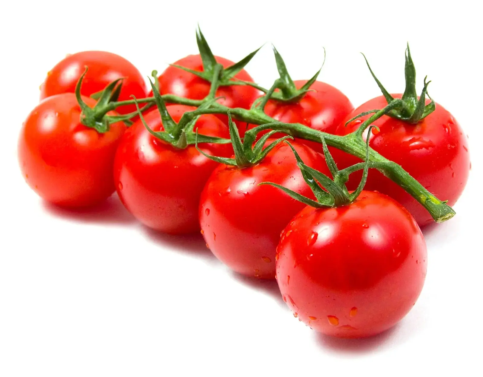 Tomato टमाटर