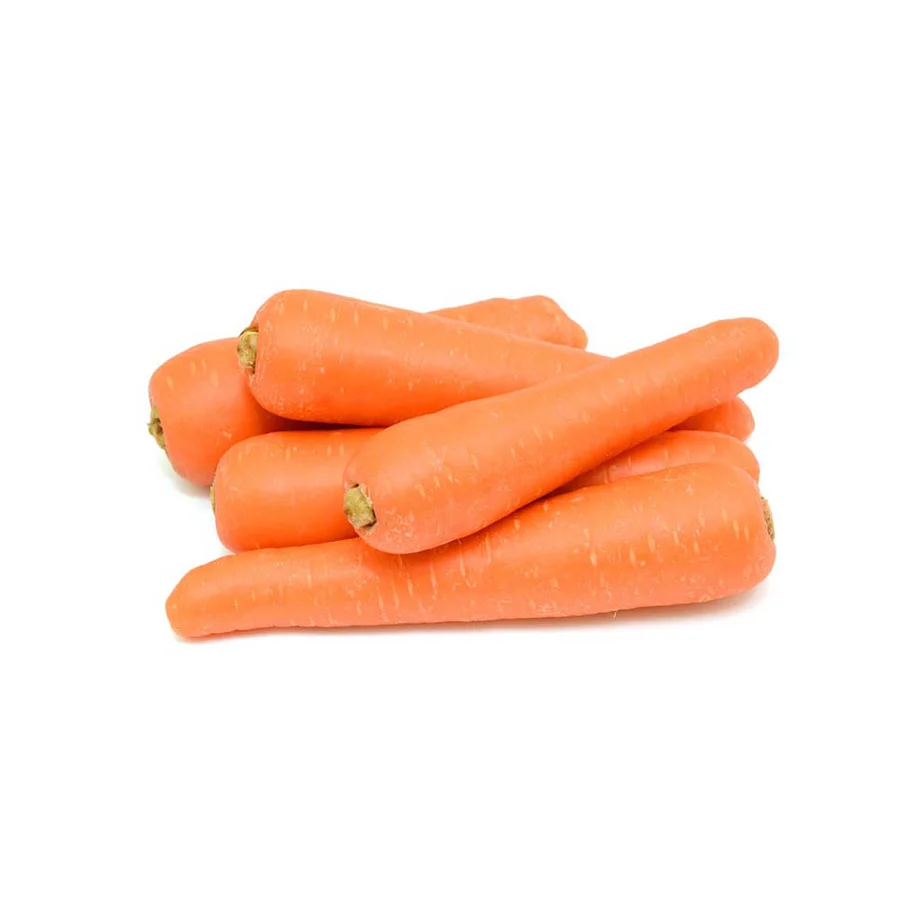 CARROT