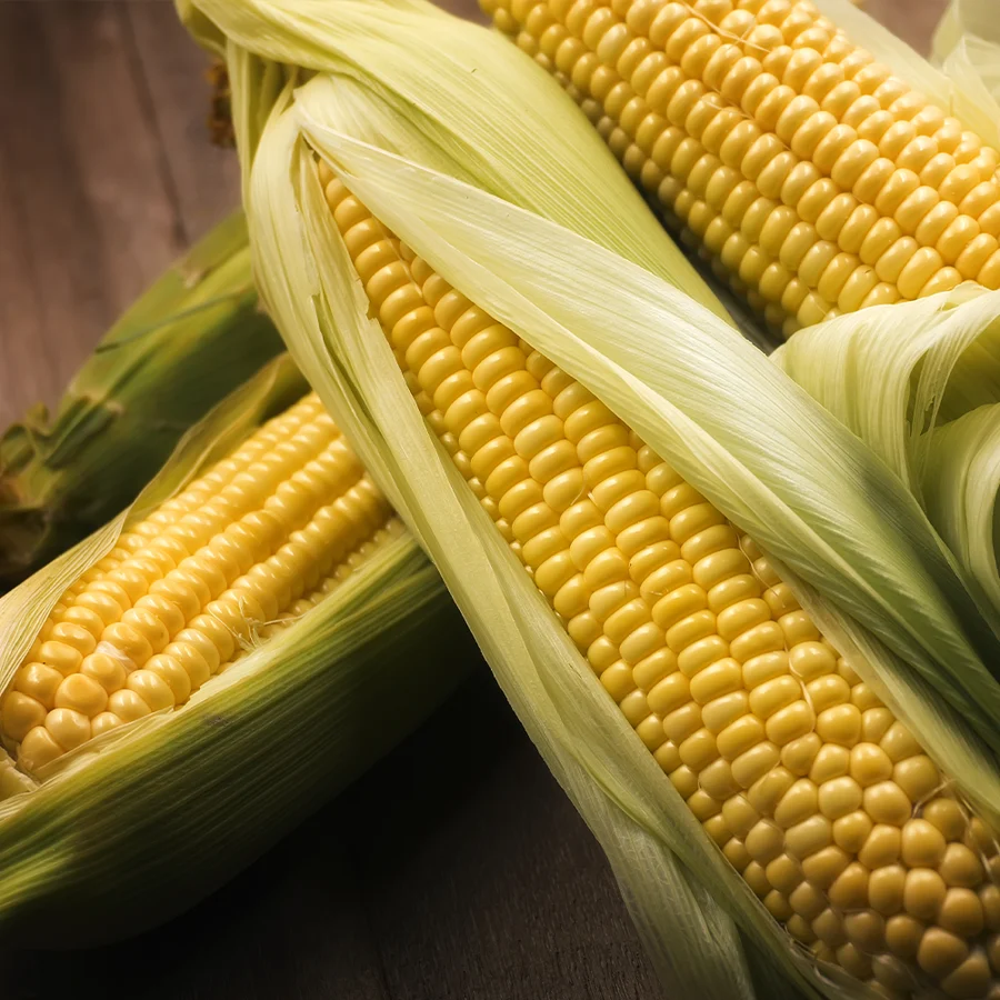 Corn