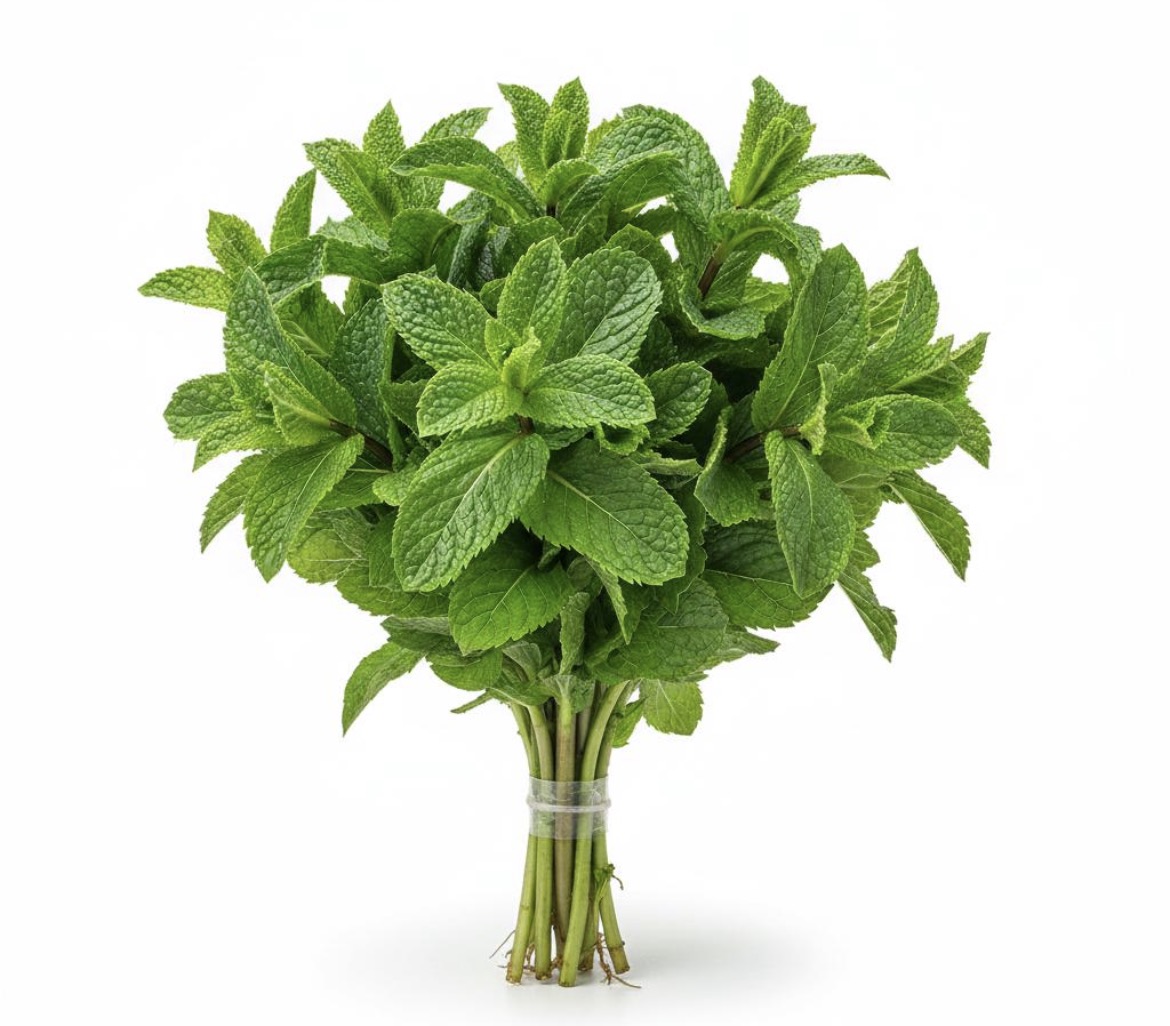 MINT