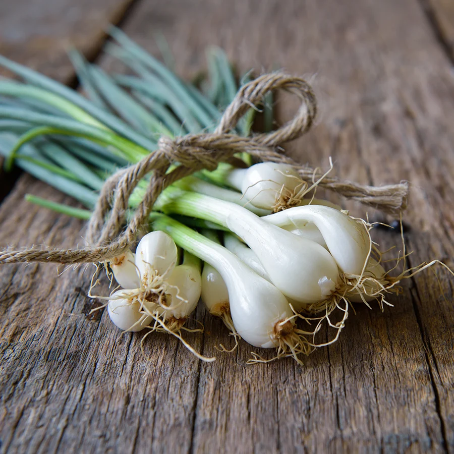 Green Onion