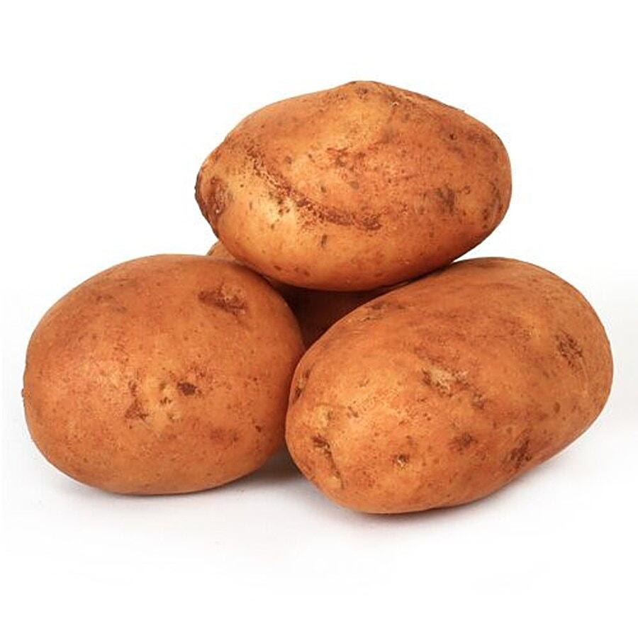 Potato